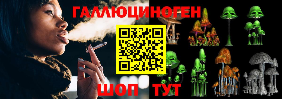 Галлюциногенные грибы Psilocybine cubensis  Вход с VPN  Сокол 