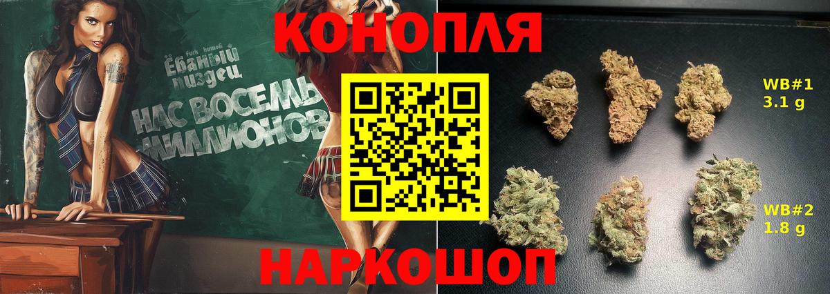 Каннабис гибрид  Шишки марихуана план  Сокол  МАРИХУАНА OG Kush  Вход с VPN  МАРИХУАНА сатива 